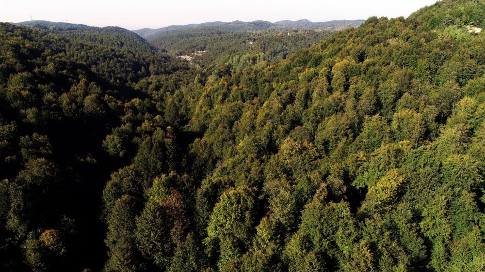 Zonguldak ormanları kent ormanı gezilecek yerler